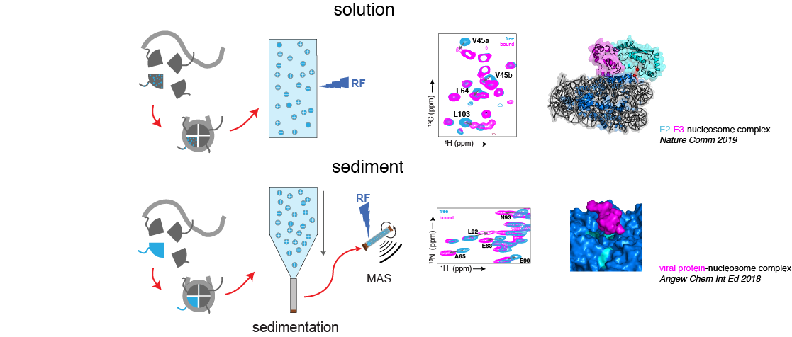 nucleosome NMR